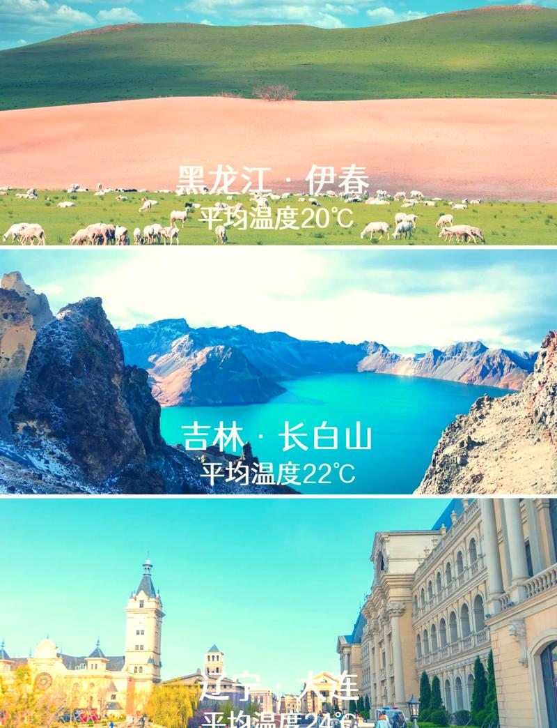 伊春园2024直达大象