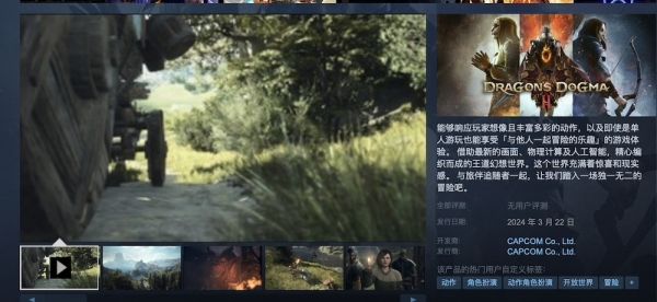 龙之信条2可以联机吗 和好友联机一起玩介绍[多图]图片2