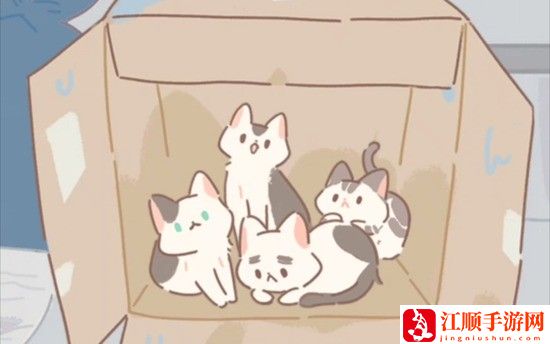 遇见你的猫烹饪菜谱有哪些 遇见你的猫超全烹饪菜谱合集