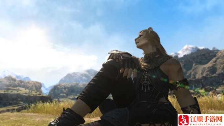 最终幻想14硌狮族种族介绍-ff14硌狮族怎么样 