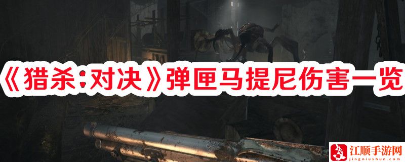 《猎杀：对决》弹匣马提尼伤害一览