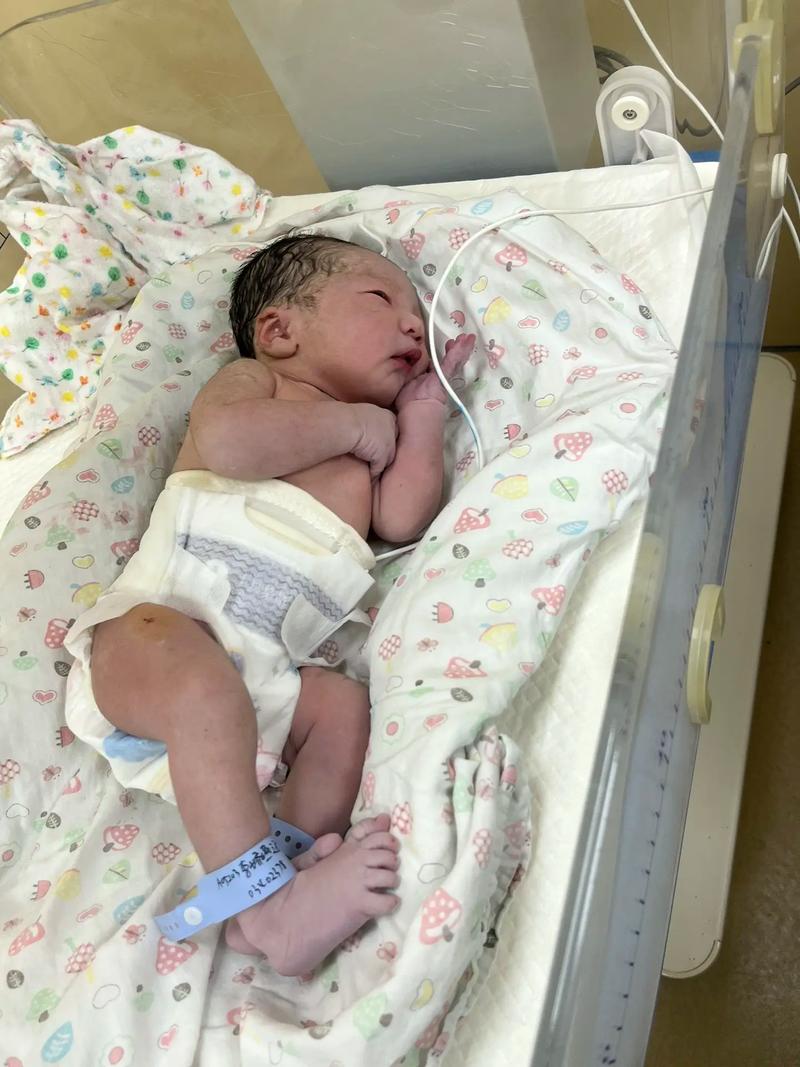 给儿媳妇肚子里种个宝宝