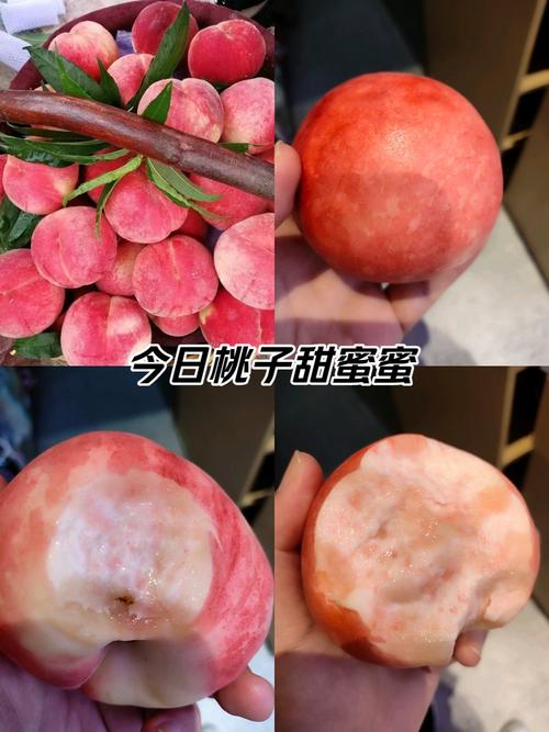 蜜桃站www难道不值得一试吗