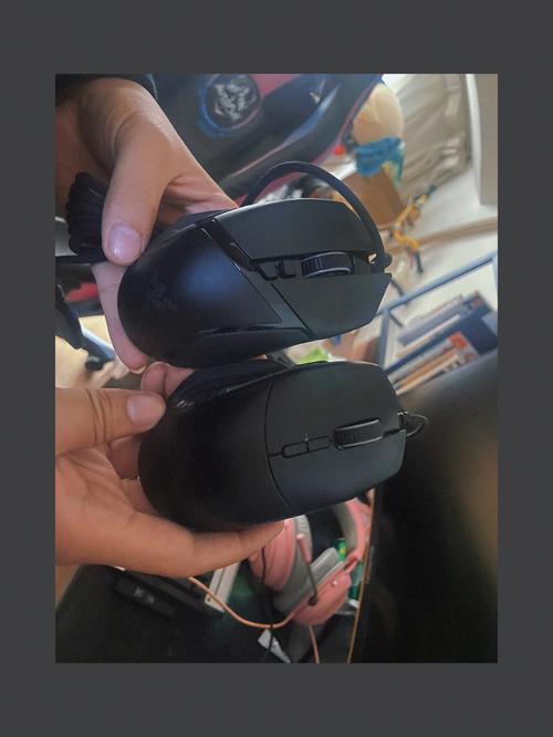 双黑蛇温度1V2