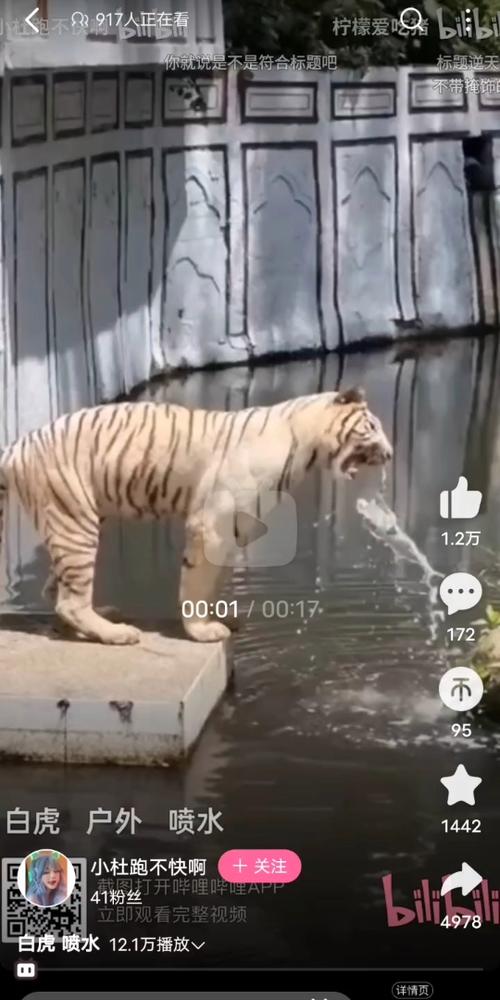 白虎喷水