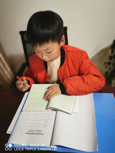 大地二中文在线观看免费高清平台