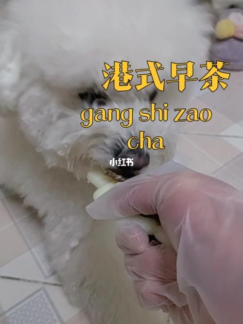 美国人常用的动物胶配方有哪些