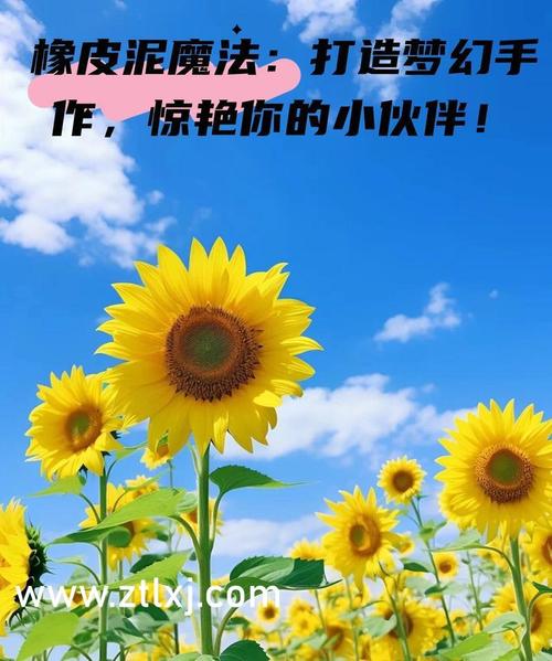 儿子妈妈是你一个人的
