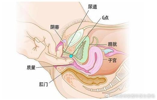 大荫蒂BBBBBB大荫蒂
