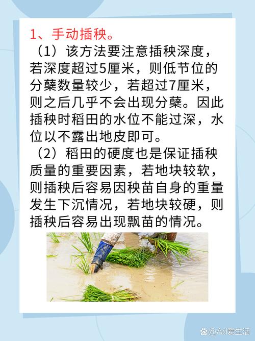夫妻插秧38种方法大全