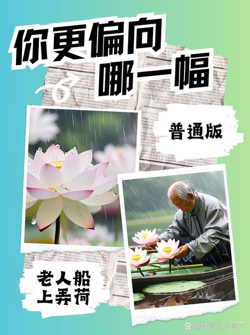 老人船上弄雨荷第13集剧情