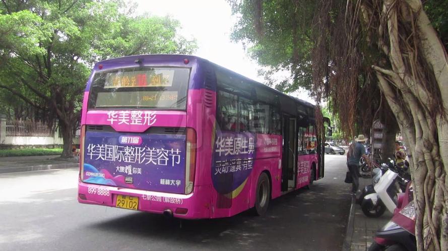 杨大壮和田桂花的公交车