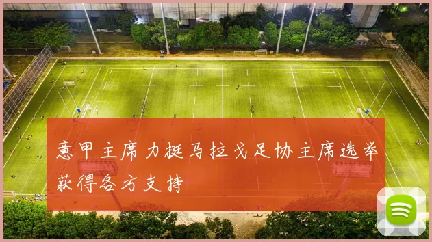 意甲主席力挺马拉戈足协主席选举获得各方支持