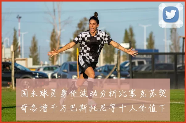 国米球员身价波动分析比塞克苏契奇各增千万巴斯托尼等十人价值下滑